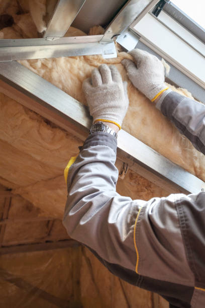 Professional Insulation Contractor in NE